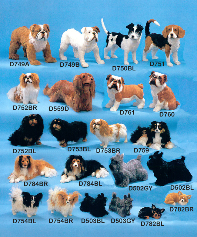 Small Long Haired Dog Breeds